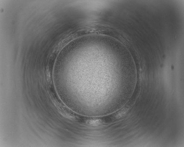 X0000053060173200507181609
