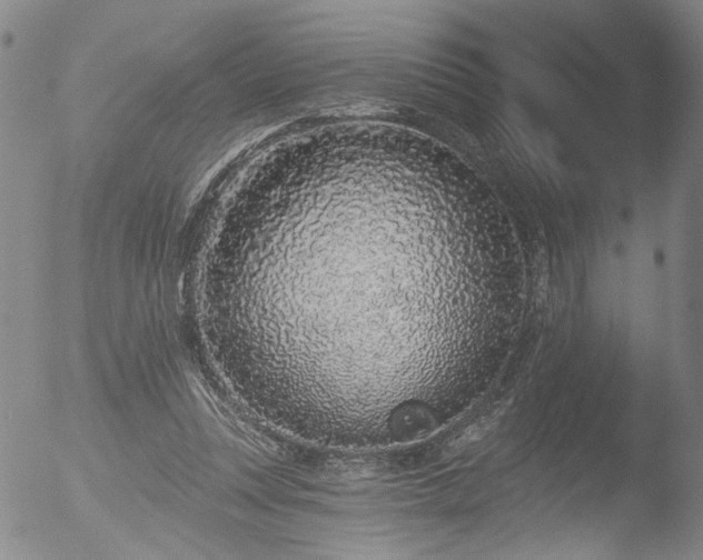 X0000053060351200507181606