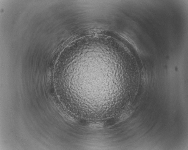 X0000053060369200507181606