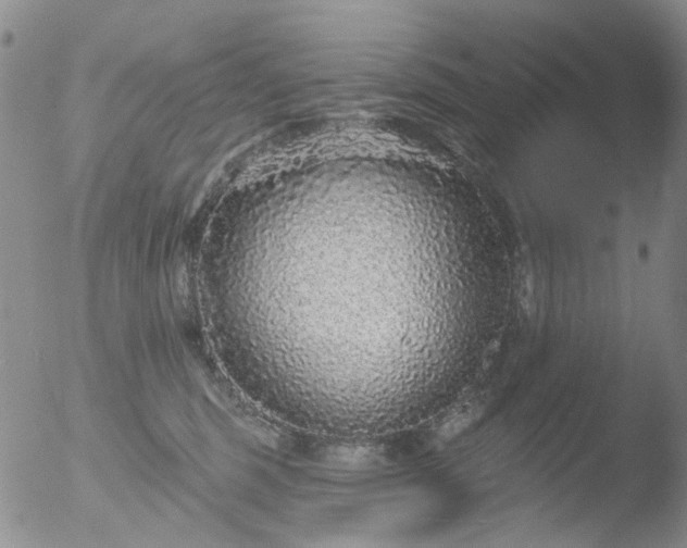 X0000053060375200507181606