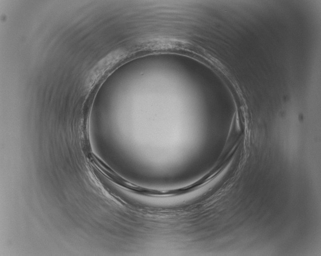 X0000053060485200507181604