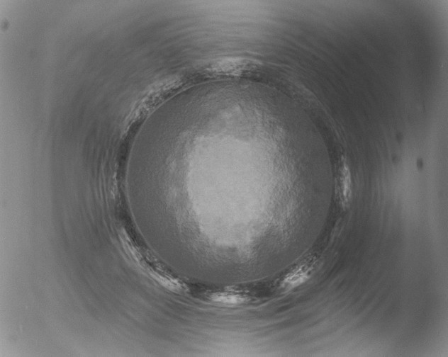 X0000053060504200507181604