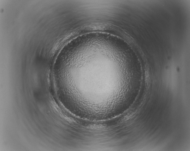 X0000053060537200507181602