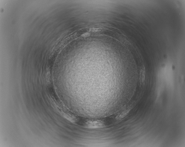 X0000053060557200507181603
