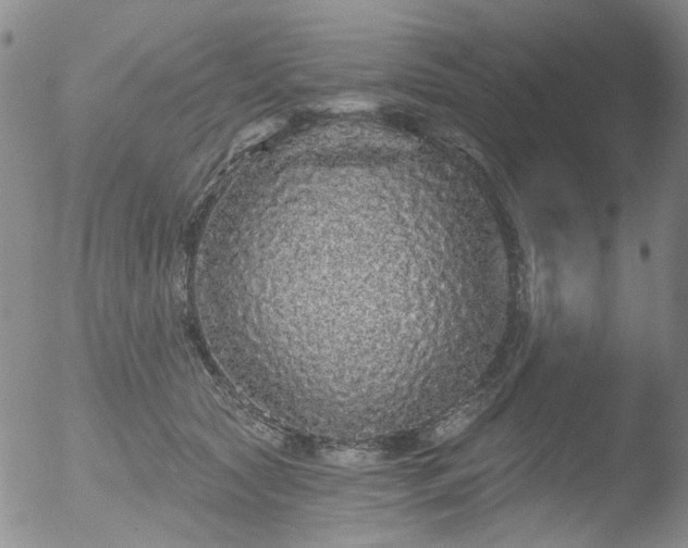 X0000053060561200507181603