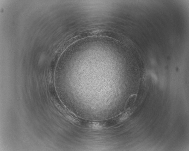 X0000053060565200507181603