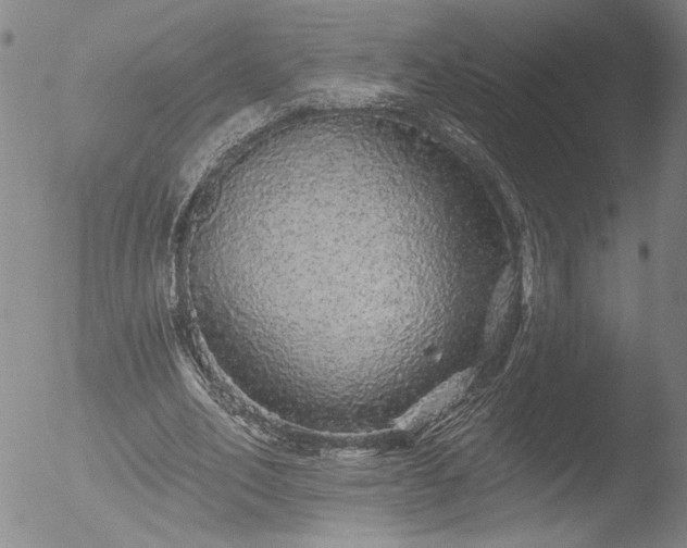 X0000053060582200507181602
