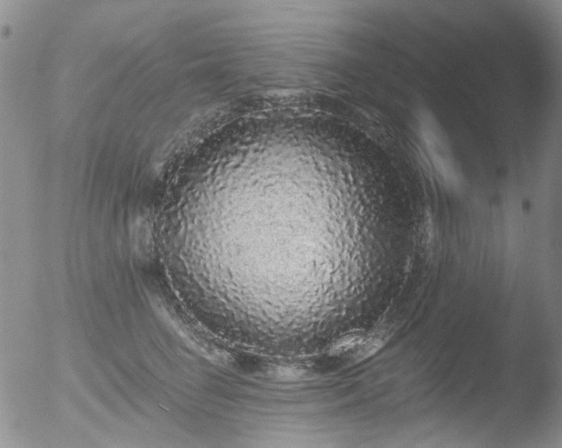 X0000053060662200507181601