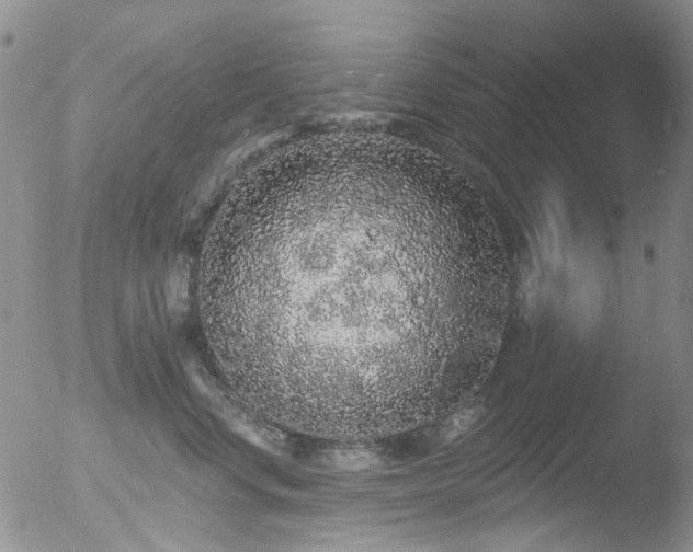 X0000053060668200507181601