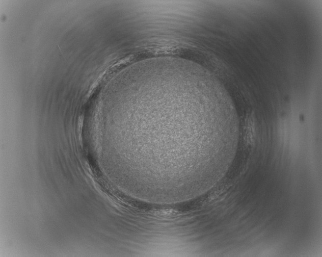 X0000053060695200507181600