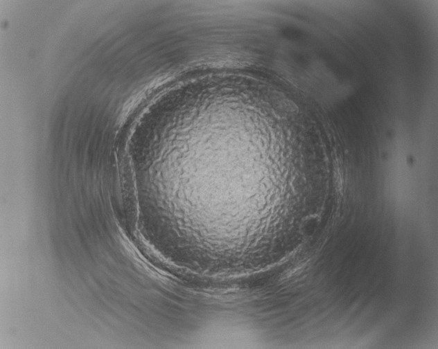 X0000053060725200507181559