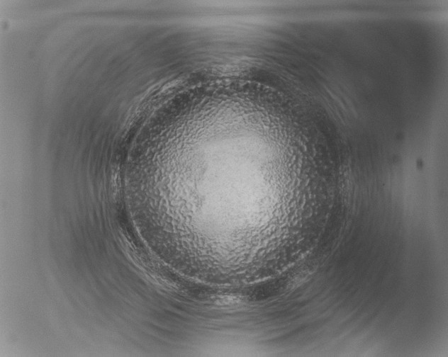 X0000053060741200507181559