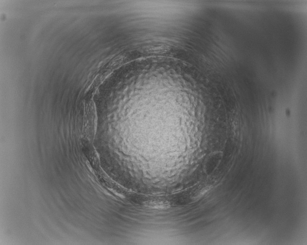 X0000053060745200507181559