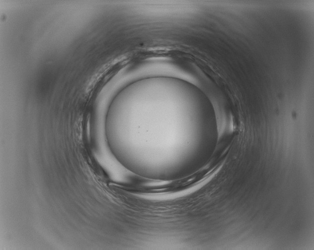 X0000053060750200507181600