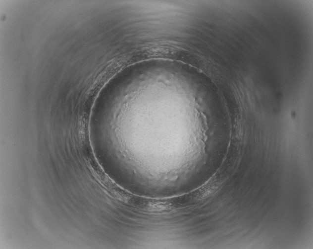 X0000053060753200507181600