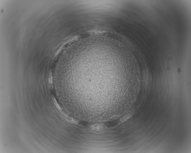 X0000053060761200507181600