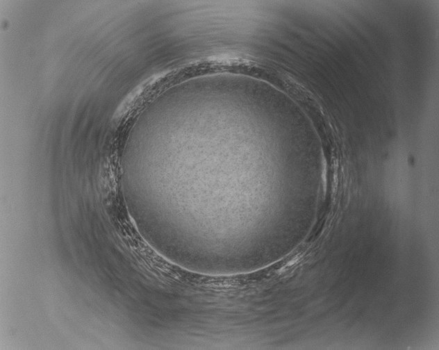 X0000053060776200507181559