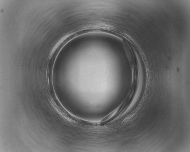 X0000053060788200507181559