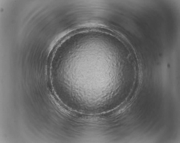 X0000053060831200507181558