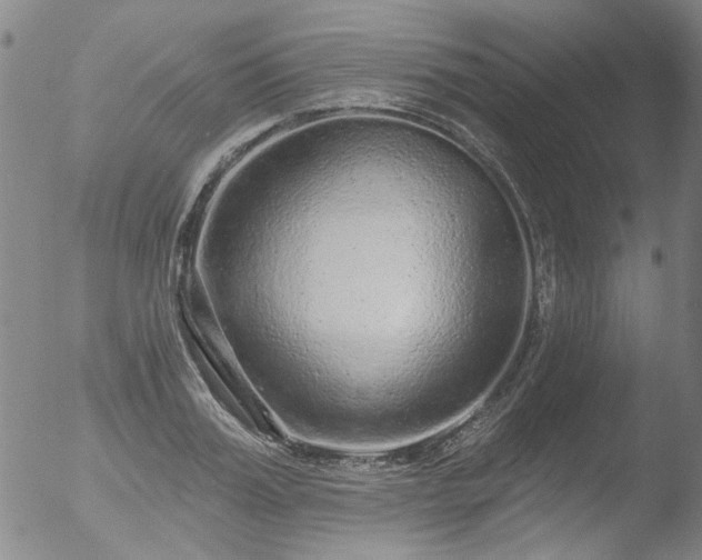 X0000053060987200507181555
