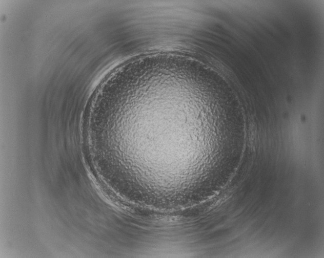 X0000053061039200507181555