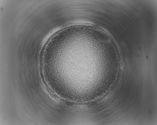 X0000053061043200507181555