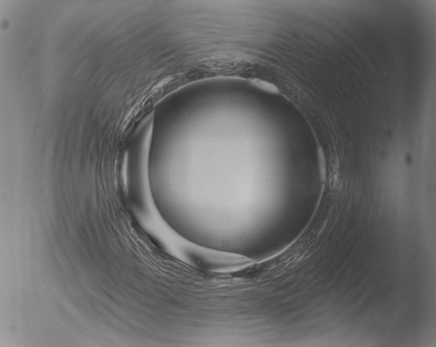 X0000053061108200507181553