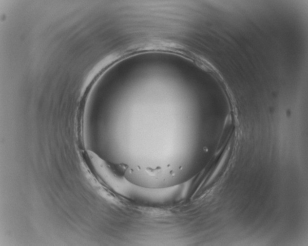 X0000053061138200507181553