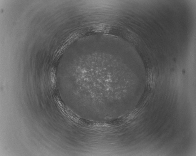 X0000053061154200507181552