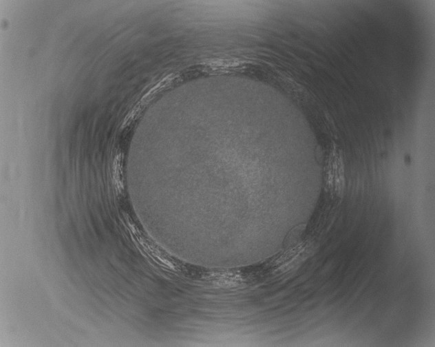 X0000053061346200507181549