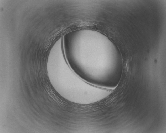 X0000053061348200507181549