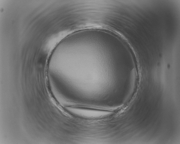 X0000053061373200507181549