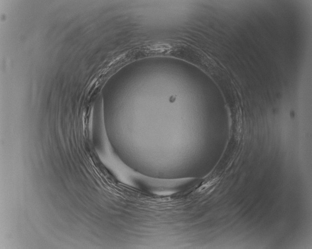 X0000053061394200507181548