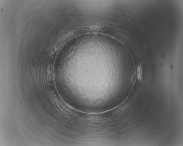 X0000053061395200507181548