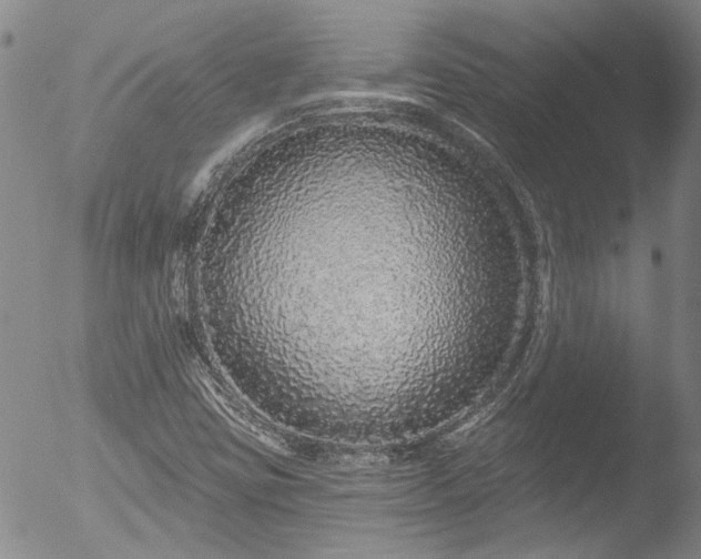 X0000053061403200507181548