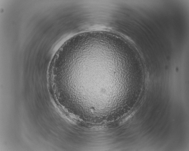 X0000053061423200507181548