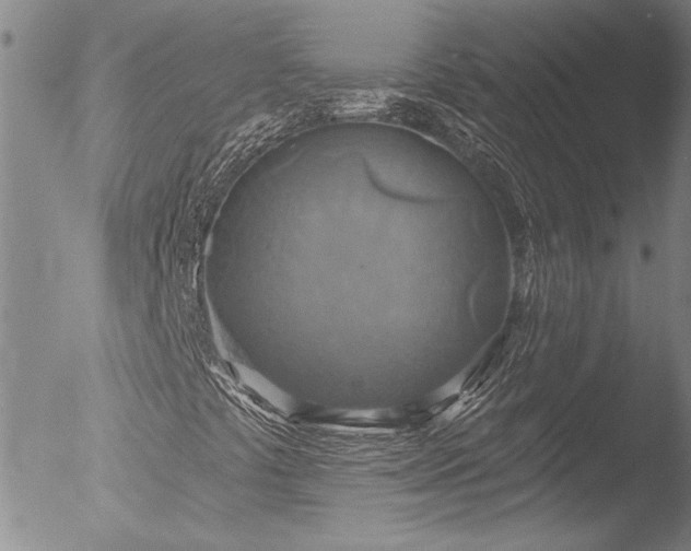 X0000053061441200507181548