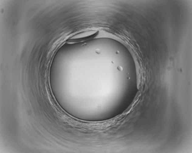 X0000053060001200507251500