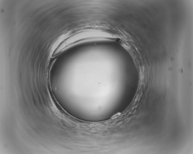 X0000053060003200507251500