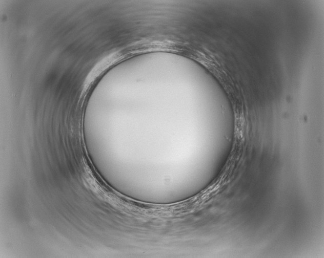 X0000053060004200507251500