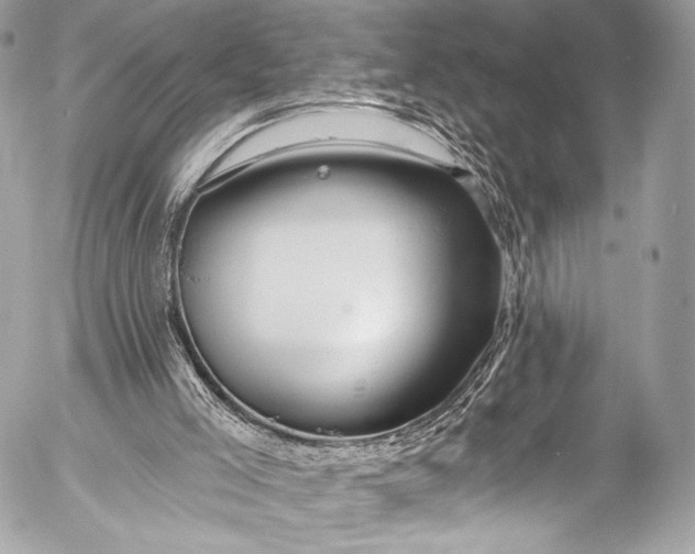 X0000053060005200507251500