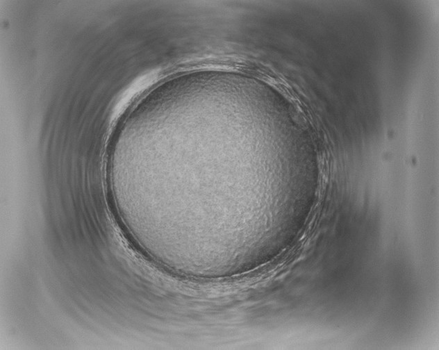 X0000053060006200507251500