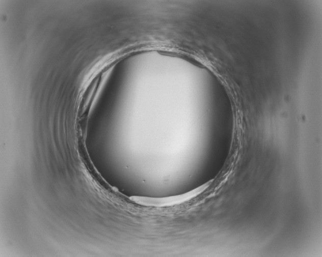 X0000053060007200507251500