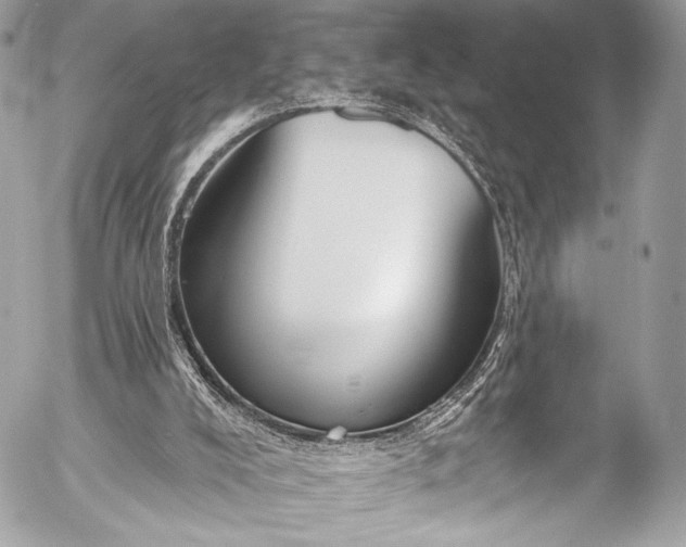 X0000053060008200507251500