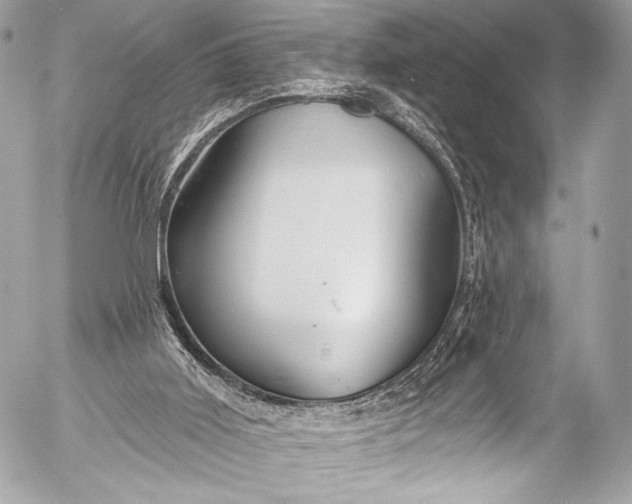 X0000053060011200507251500