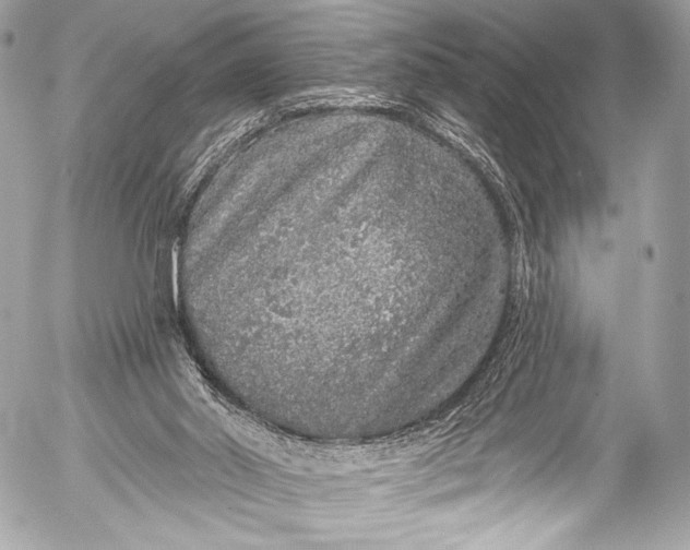 X0000053060014200507251500