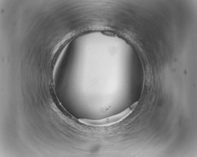 X0000053060015200507251500