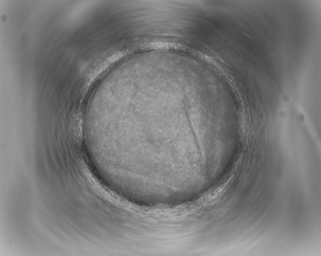 X0000053060016200507251500