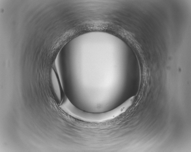 X0000053060017200507251500