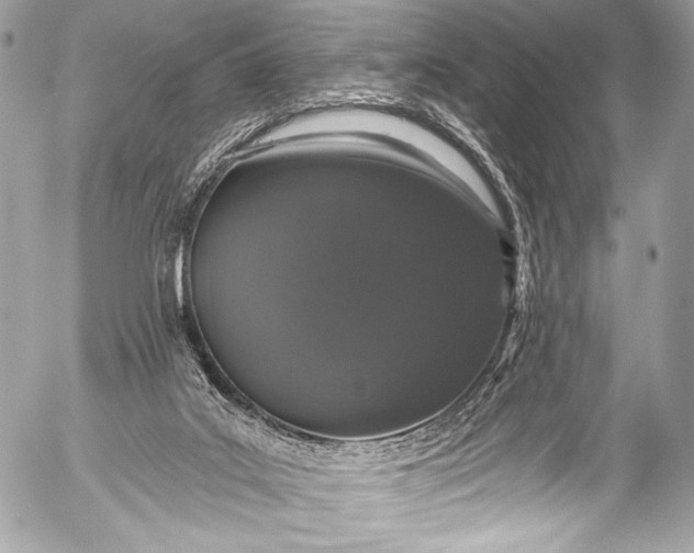 X0000053060019200507251500